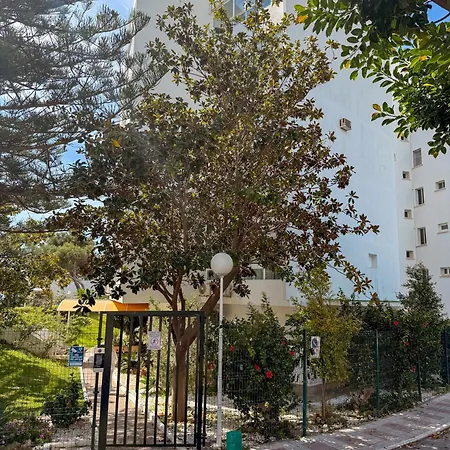 Casa La Luna- Beachfront 1br With Sea Views Apartment Marbella